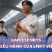 GAM Esports Niềm kiêu hãnh của LMHT Việt Nam