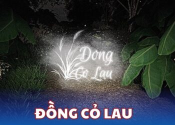 Đồng cỏ lau - Hành trình tiến vào thế giới kinh dị miền Tây Nam Bộ