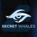 Secret Whales công bố đội hình chính thức cho LCP 2025