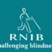 RNIB cung cấp bộ công cụ hỗ trợ làm game, mở rộng cơ hội cho người khiếm thị