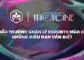 Những điều bạn cần biết về Đấu Trường Chân Lý Esports mùa 13 và hệ thống giải đấu APAC