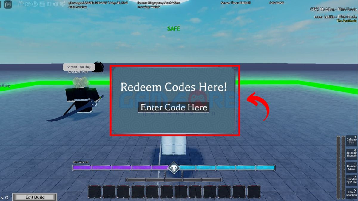 Bước 3: Dán mã đã sao chép vào hộp văn bản Redeem Codes Here